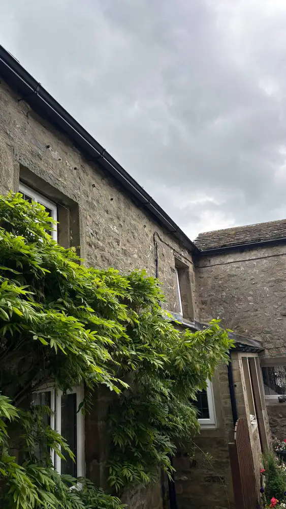 Stone house with black seamless gutters above established greenery